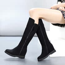 Zhuo Shini 2021 Winter new womens boots inside high heel side zipper plus velvet warm Knight boots high boots women