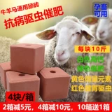 Корова -коры лизания кирпичной соли кирпичной овец, репеллент насекомых и кирпичные говяжьи ковы, пищевые зверь соле