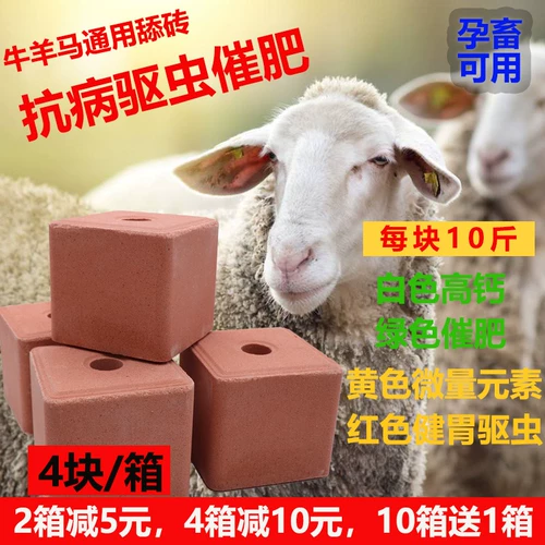 Корова -коры лизания кирпичной соли кирпичной овец, репеллент насекомых и кирпичные говяжьи ковы, пищевые зверь соле