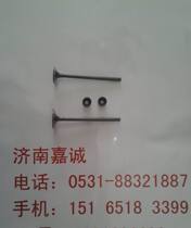 Light Riding Original Factory Hearse Karollinge Deer QM48QT-B (9B) Moto lengthened valve (original plant oil seal)