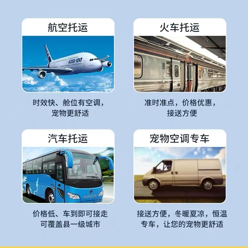 2026送宠物狗需要注意什么？从选品到寄养全攻略详解