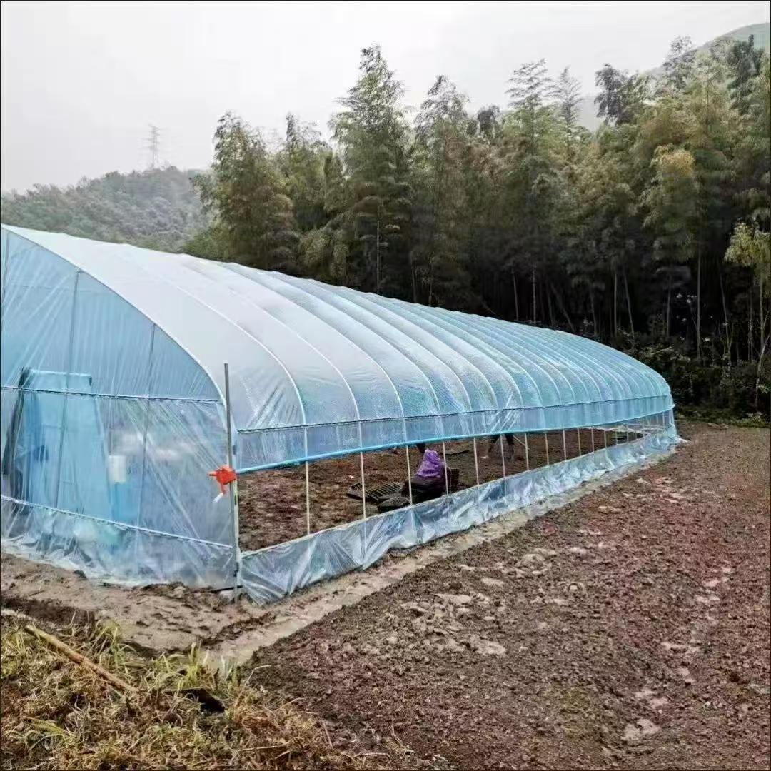 朗轩温室大棚