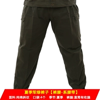 Летние зеленые брюки (хлопковой склонный ремень)