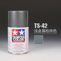 TS42 светлый черный железо