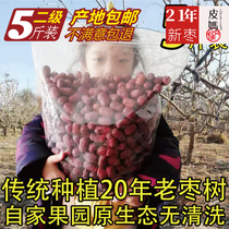 Xinjiang specities Ruoqiang red date ash date non-nuclear free from washing tree natural hanging dry with earth date dry 5 catty of bulk