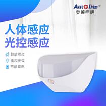 Ole led induction night lights street stall lights charging stall lights night market lights night induction lights corridor lights waterproof