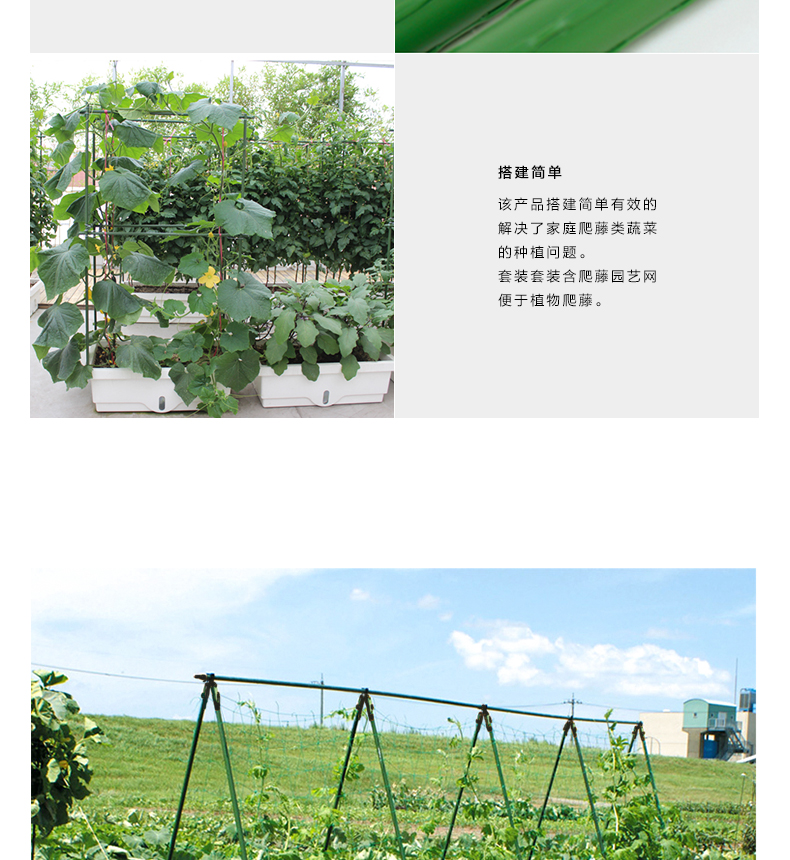 Nguồn cung cấp vườn hoa trụ cột nhựa tráng thép cà chua cà chua xanh pepper cà chua cà chua dưa chuột vine kệ bracket bộ làm vườn mini
