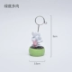 Zakka tạp hóa bình dị xương rồng tươi trong chậu danh thiếp chủ thư mục thư mục ảnh trang trí máy tính để bàn