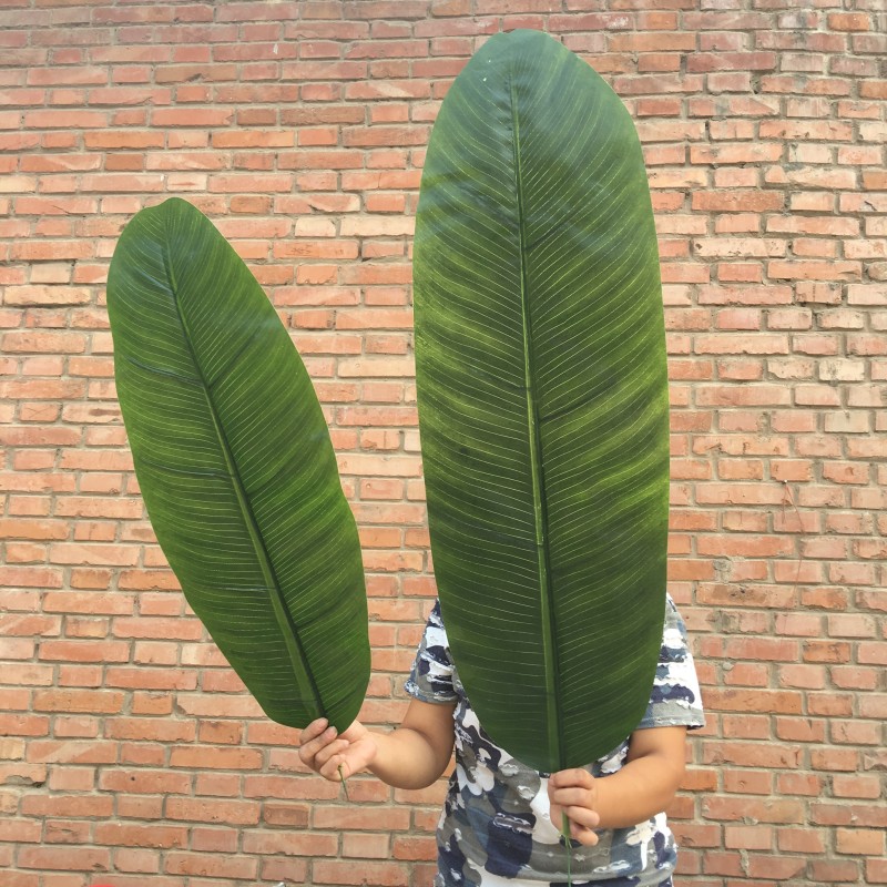 Simulation of large banana leafy leafy green tree drip water leaf shoot with green leafy banana leaf children dance show props