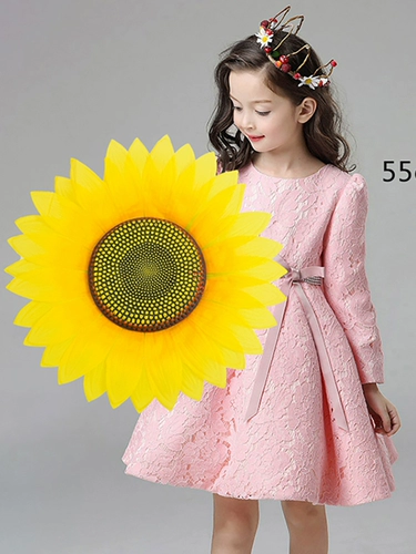 Стадия детского сада моделирование подсолнежного подсолнечного танца подсолнечника