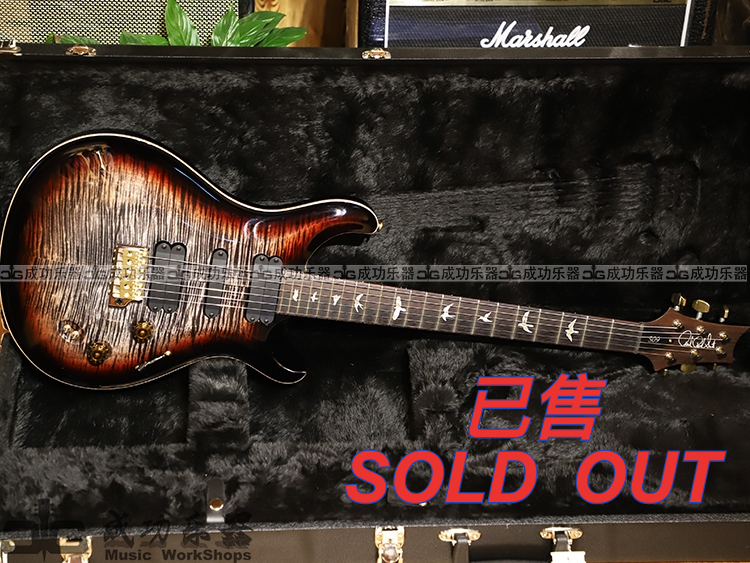 (Sold Display) Successful Musical Instrument PRS509 top10 Vampire Gradual Layer 2019 New Electric Guitar New