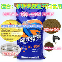 Ornamental fish Lan Shou fish Colorful angelfish Guppy dovetail fry floating feed protein 48%1 0mm material