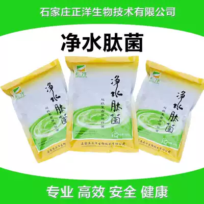 Water purification peptide bacteria improve old green black and turbid water to restore bright and cool water color, biocide of cyanobacteria to prevent dead algae pollution