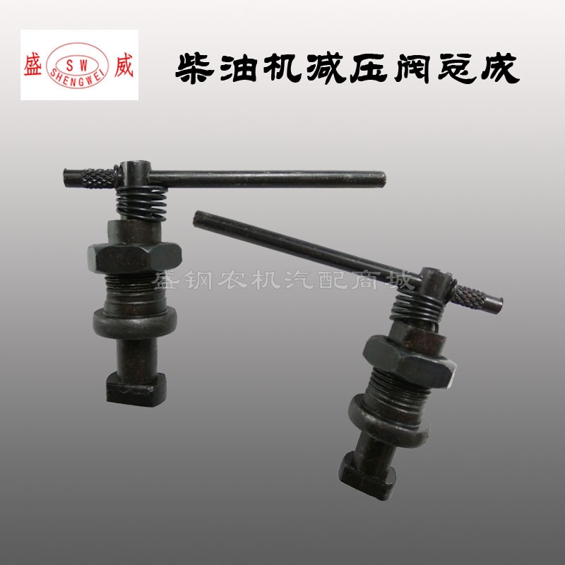 Changchai single cylinder diesel engine decompression assembly Changzhou S195 1105 1115 L28 internal combustion engine