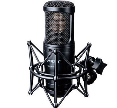 Takstar Wins GL-400 Professional Sound Recording Large Choral capacitive microphone microphone