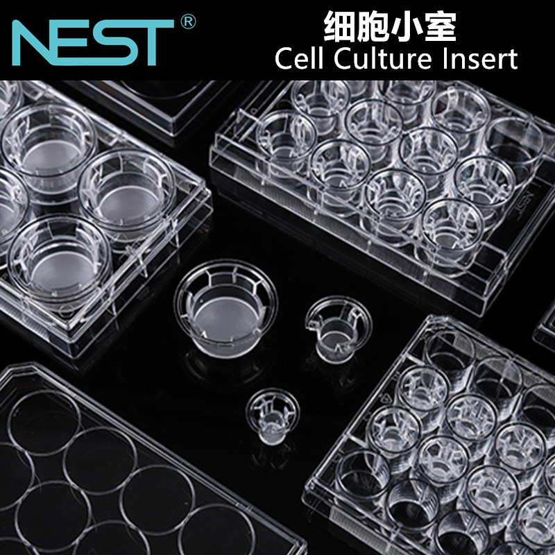 NEST耐思细胞小室transwell嵌套PET聚酯膜 PC聚碳酸酯膜24 6孔