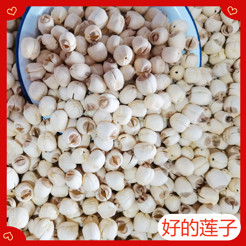 Good lotus seeds 1 catty 500g dry goods Dumbi chaste Snack Ingredients Lotus Seed Pig Belly soup Bulk farm Deputy called catty
