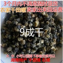 Dry field snail jerky Hunan specialty handmade fresh dried screw jerky snail meat 500g
