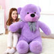 Plush Toy Teddy Bear Doll Big Bear Cuddle Pillow Panda Rag Doll Large Hug Bear Doll ຂອງຂວັນວັນເກີດສໍາລັບແມ່ຍິງ