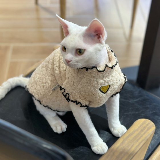 {Soft and warm}Double-sided lambswool winter thickened and warm Sphynx hairless cat clothes in German