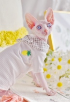 YH pineapple collar yellow White Knot Literary Youth summer Sphinx hairless cat clothes German clothes
