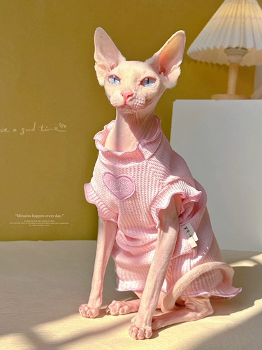 Y · h nils fanfan fanfu's Gefer's Sleecked Elice -рукав Vecent Short Sphinx Mirlonless Ctliding German