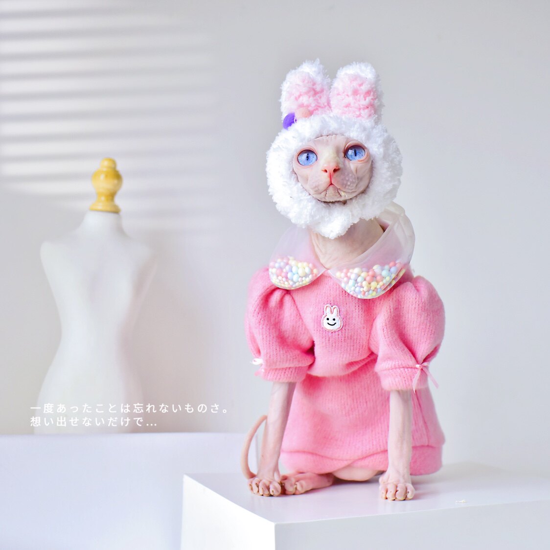 YH - Rabbit Rainbow Bubble Bubble Winter thickens warm sweater Spinx Cat Clothes German Clothes
