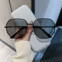 Черная рама меняется серая (поляризованные хлопья светового преобразования)