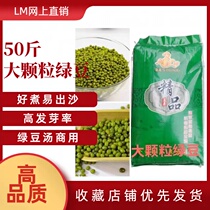 New arrival mung bean golden dragon horse large grain mung bean porridge baking ingredients mung bean soup mung bean paste 50 catties packed 25kg