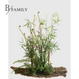 Мори зеленое симуляция манго глубокие горные растения папоротник листья листовые ботанический ландшафт цветочный балкон