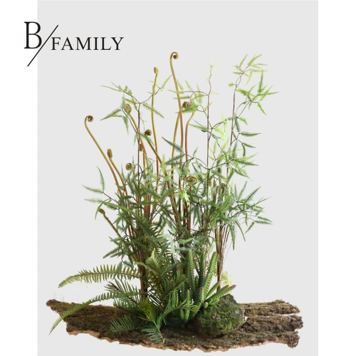 Мори зеленое симуляция манго глубокие горные растения папоротник листья листовые ботанический ландшафт цветочный балкон