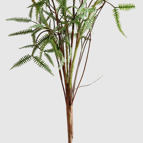 Мори зеленое симуляция манго глубокие горные растения папоротник листья листовые ботанический ландшафт цветочный балкон