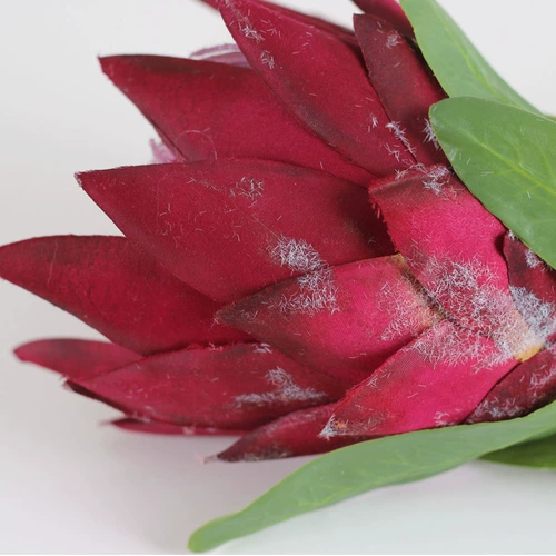 Симпатичная домашняя симуляция растения Моделирование цветочника