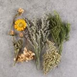 Сухие цветы вечные цветы полны звездных цветов хризантемы, а не забытые гордцы, эмбаргали Chrysanthemums Diy Декоративный материал