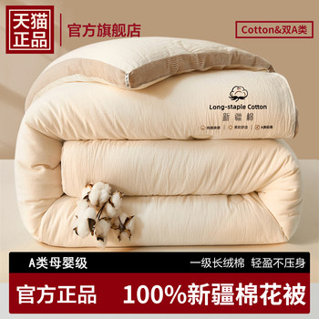 Class a Xinjiang Cotton Quilt Core, Suitable for All Seasons, Single and Double, Spring and Autumn Cotton Batting, Thickened for Warmth, Winter Cotton Quilt