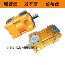 NT2-G10F G12F G16F NBZ2 NBT3 High pressure internal meshing gear oil pump pressure 32MPa