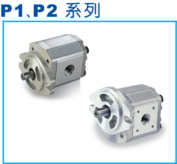 P107RP01G high pressure dosing gear pump