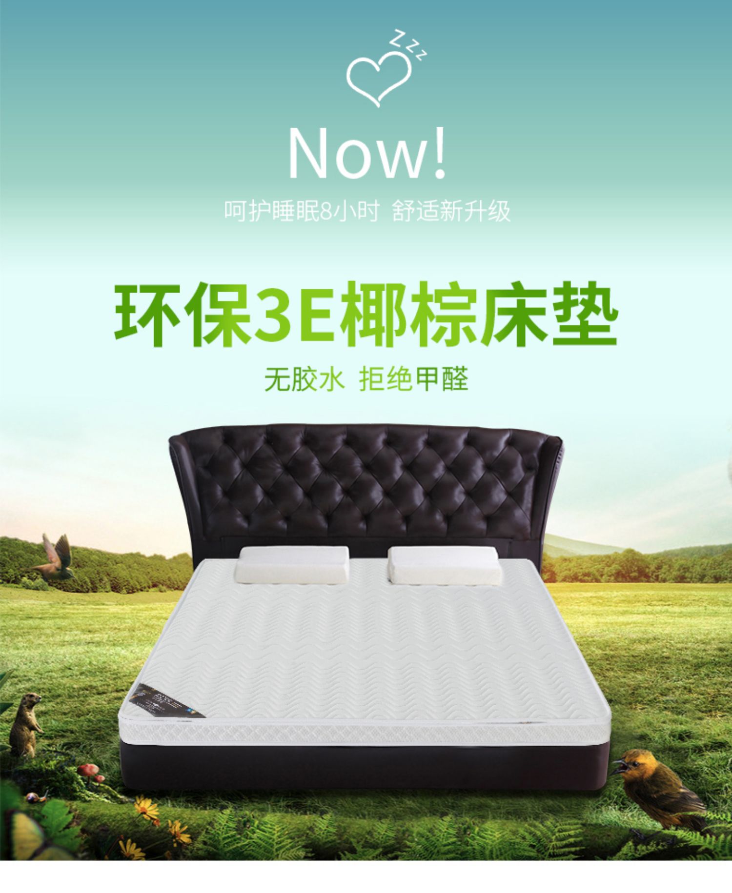 乳胶床垫价格：市场动态与选购攻略