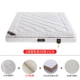 Xơ dừa mat con Palm cứng nhắc latex nệm Simmons 1,2 mét 1.8m1.5 rẻ tùy chỉnh gấp - Nệm nệm kim đan 1m6