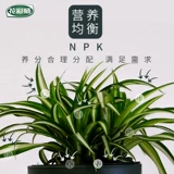 Празднование цветов Hongyue Dilute Speed ​​Speed ​​-эффективная линия растительного питания цветочные продукты цветочные удобрения 480 мл