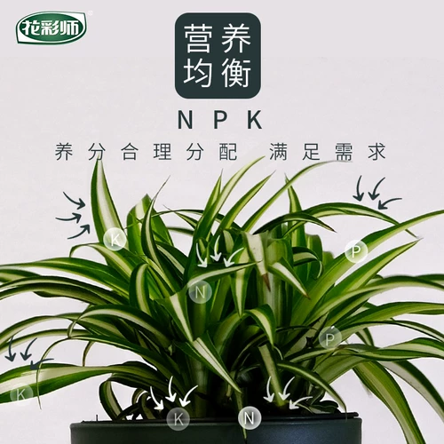 Празднование цветов Hongyue Dilute Speed ​​Speed ​​-эффективная линия растительного питания цветочные продукты цветочные удобрения 480 мл