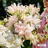 虹越 Стоматологическая лепестка Лилия, импортная цветочная парфюм, духи, железная пушка с лилией, четыре сезона из горшка Изабелла Эша Эйлина