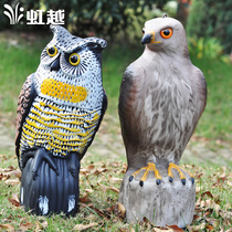 (Hongyue) Garden Garden Bird Eagle Owl Decoration Foreign Trade Huajin Plastic Export Quality