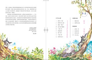 西顿动物小说彩绘版 少年与山猫 7-14岁少外国儿童文学故事小说图书 小学生一二三四五六年级课外阅读物书籍 接力出版社