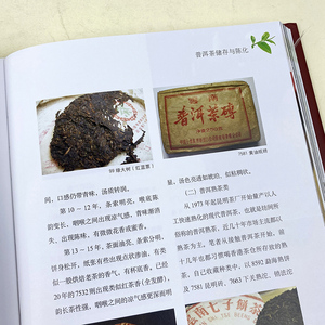 迷上普洱 云南普洱图腾艺术中国茶经茶叶 茶道茶艺泡茶品鉴茶文化书籍品鉴茶艺入门 石昆牧 普洱茶书籍基础知识入门 民族文化