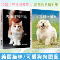 Set of 2 volumes beautiful cat illustrations cute dog illustrations full-color encyclopedia popular science books popular rare kittens and puppies complete collection of pet breeds and cold knowledge cat raising books dog raising books cute pet healing books