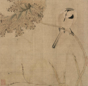 宋画花鸟篇 马远 北宋南宋美术绘画花鸟小品作品集赵佶 国画名家名作经典作品赏析 艺术理论书籍 国画花鸟画技法技巧教程书