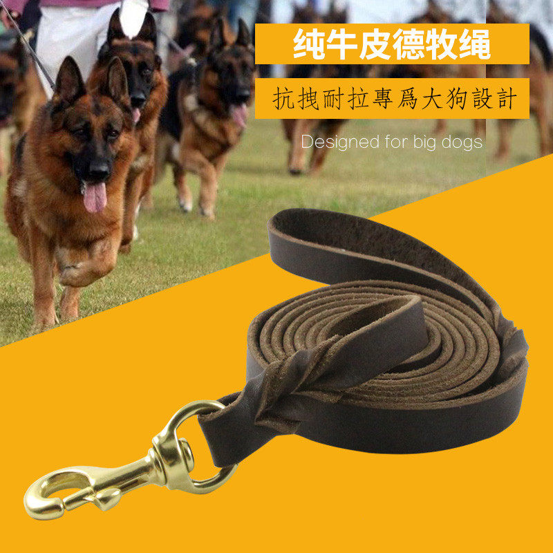 Lengthened cow leather gold wool dog necklace large and medium Depasture dog dermis Puppy dog traction rope for dog rope Labrador