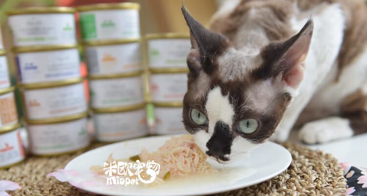 Miou Pet Thái Lan pals pet Pus vào mèo trái cây và rau mèo mèo nồi mèo đóng hộp snack 70g - Đồ ăn nhẹ cho mèo hạt nào tốt cho mèo