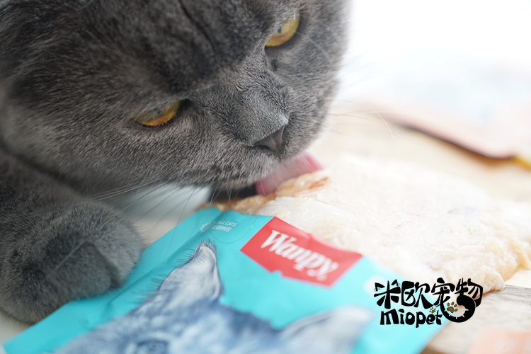 Mio Pet N nghịch ngợm Wanpy Fresh Pack Cat Snack Cat Thức ăn khô 80g / 100g Cat Bibimbap Đối tác minino 1.3 kg